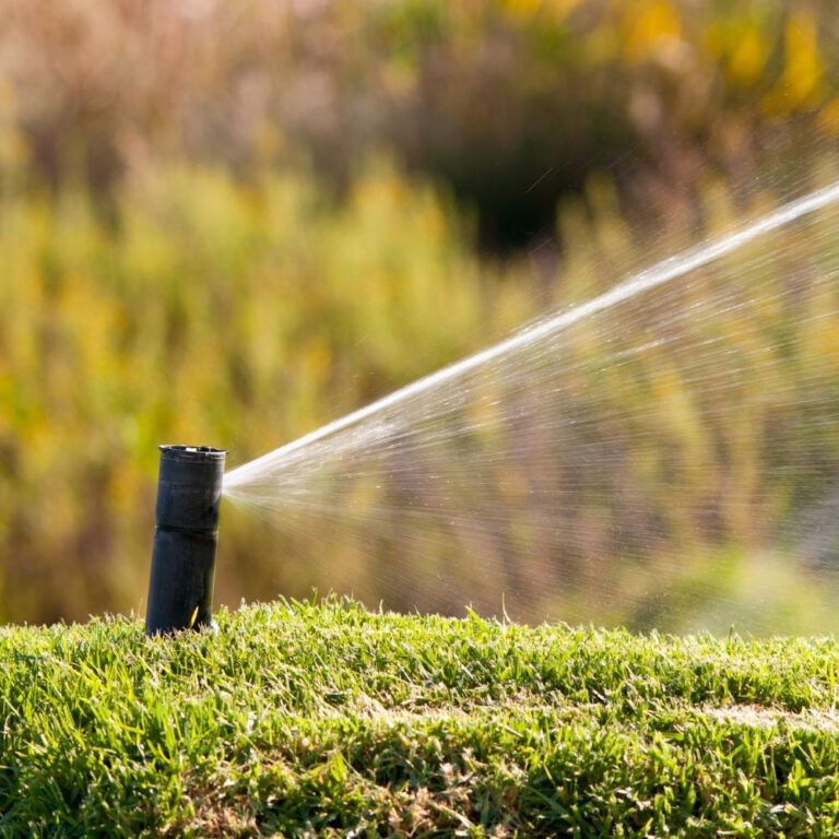 Maximizing Efficiency: How Sprinkler Repair Can Save Water and Money
