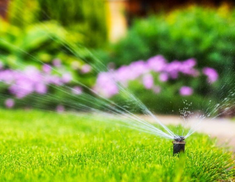 Maintaining Lush Landscapes: The Importance of Professional Sprinkler Repair