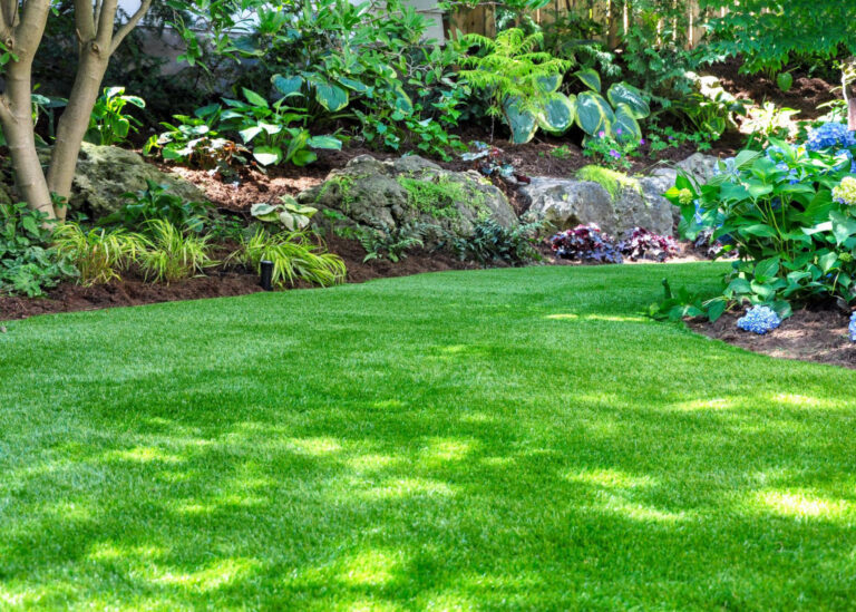 Ensuring Your Lawn Stays Lush and Green