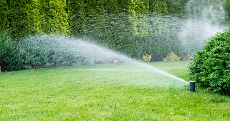 Ditch the Drought: Sprinkler System Tune-Ups for Optimal Watering Efficiency